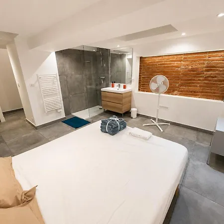 Duplex Calme Avec Clim Et Terrasse Au Centre * 圖盧茲